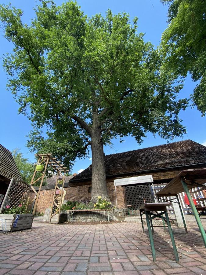 Unter Der 250 Jaehrigen Eiche - Lehde Zentrum Maison d'hôtes Kaupen